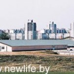 newlife2 newlife2
