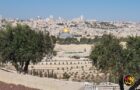 temple mount jerusalem worthy news